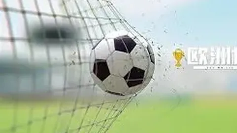 《德天空独家：舍尔纽卡席位易主佳夫，冬季转会窗有望回归德甲赛场》