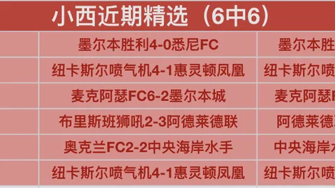 欧冠D组第4轮：勒沃库森vs马竞 全场赛事回顾
